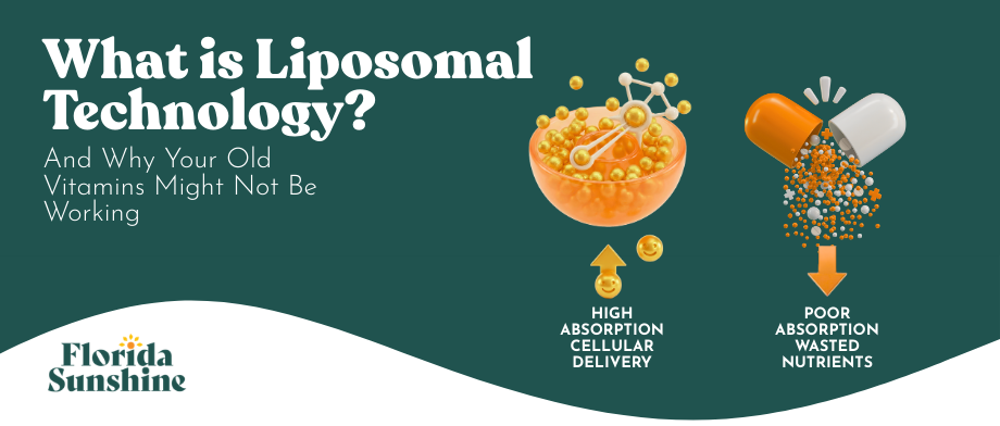 What is Liposomal Technology? (And Why Your Old Vitamins Might Not Be Working)