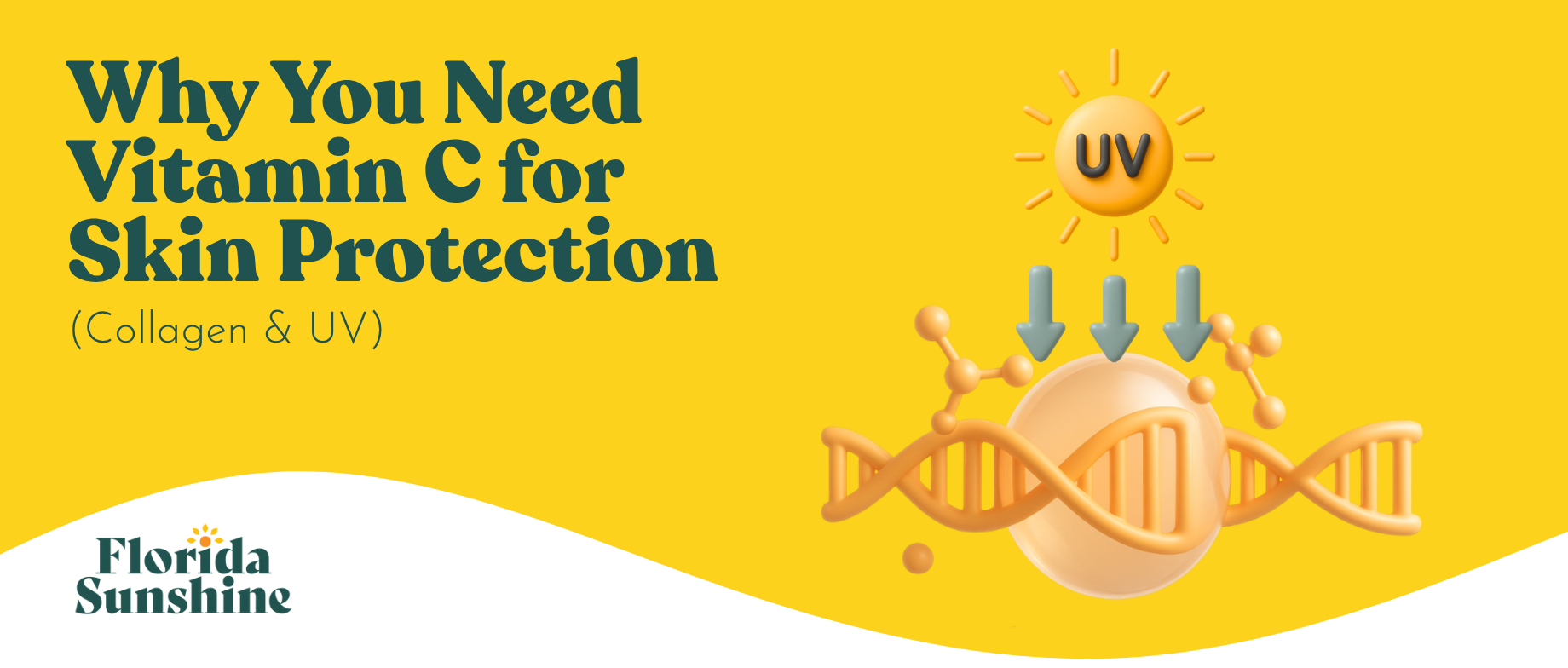 Why You Need Vitamin C for Skin Protection (Collagen & UV)