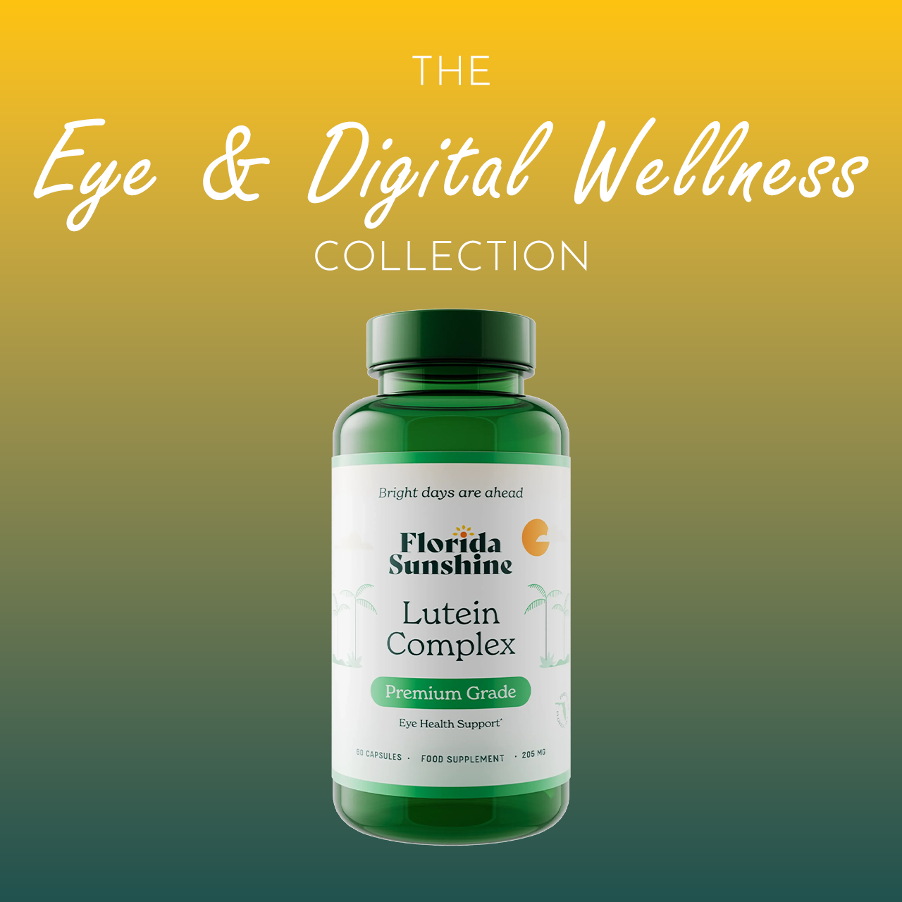 Eye & Digital Wellness