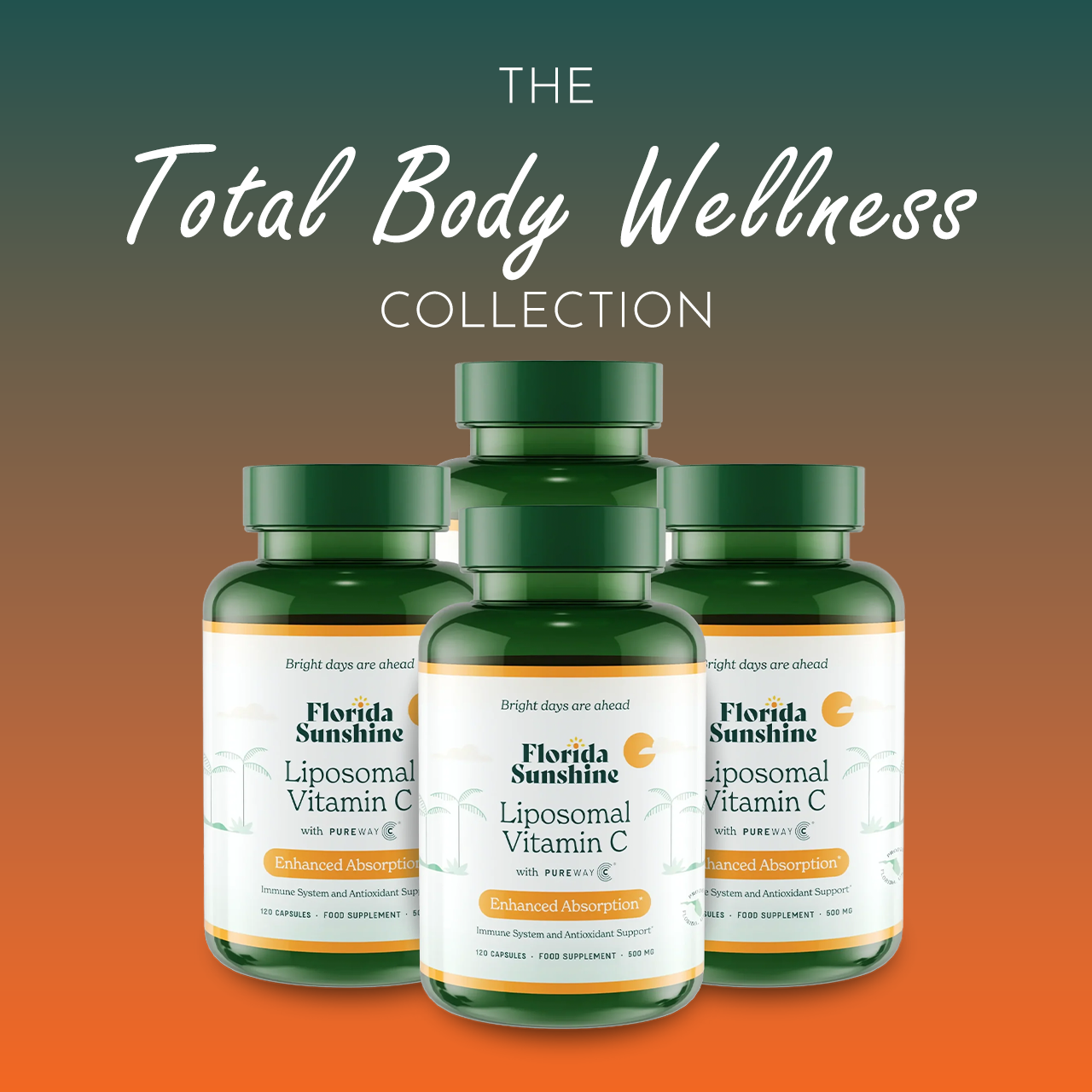 Total Body Wellness